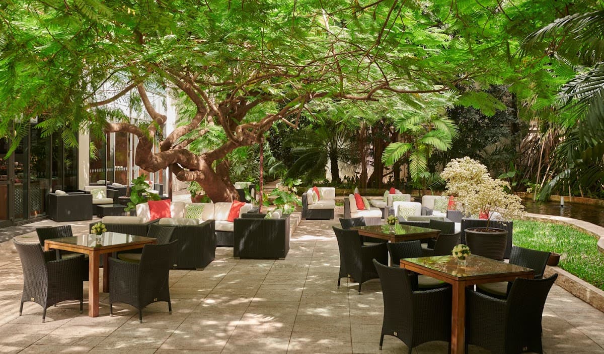 Flame Tree Lounge & Terrace