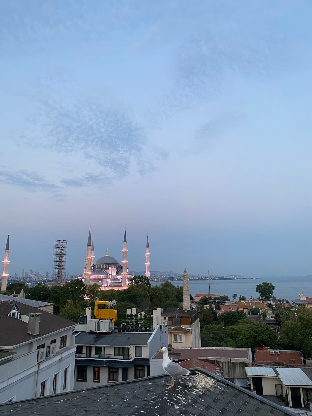 Vista Perula Roof Restaurant