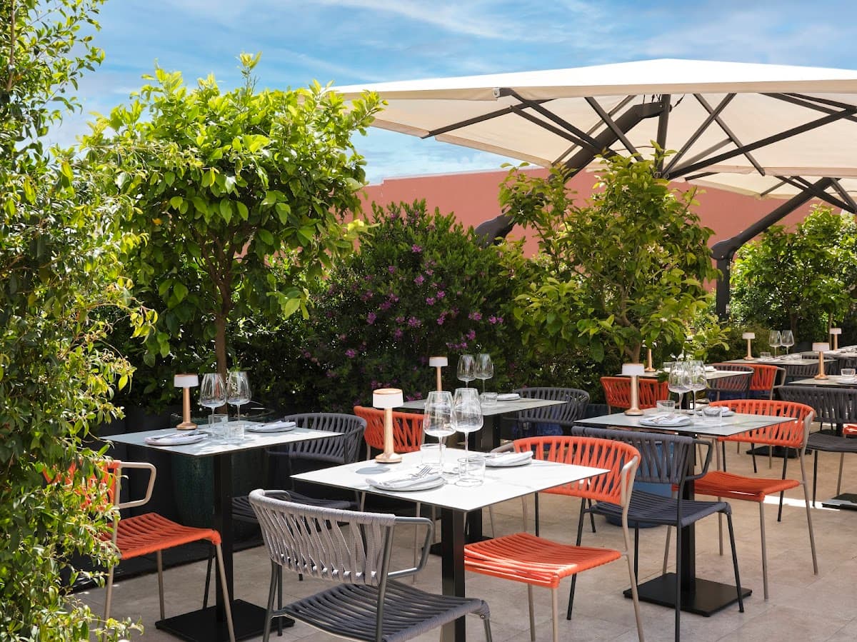 Citrico Rooftop - Pizza e Cocktail