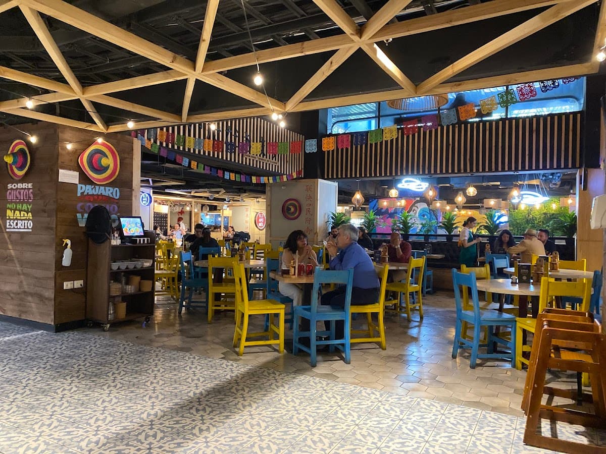 Jalisco - Vivo Panoramico